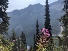 Maple Heather Trail,